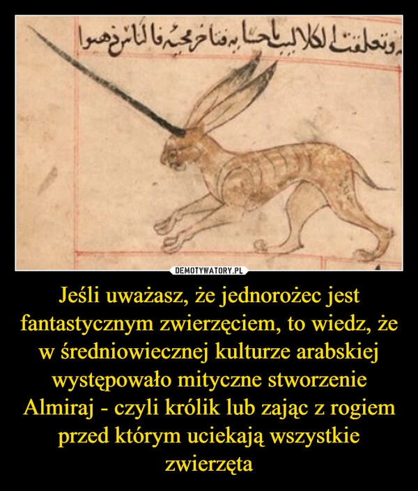 
    Jeśli uważasz, że jednorożec jest fantastycznym zwierzęciem, to wiedz, że w średniowiecznej kulturze arabskiej występowało mityczne stworzenie Almiraj - czyli królik lub zając z rogiem przed którym uciekają wszystkie zwierzęta