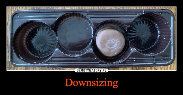 
    Downsizing