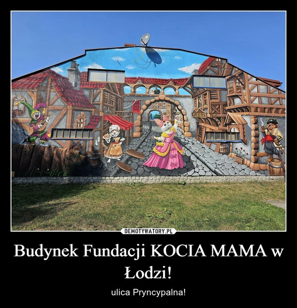 
    Budynek Fundacji KOCIA MAMA w Łodzi!