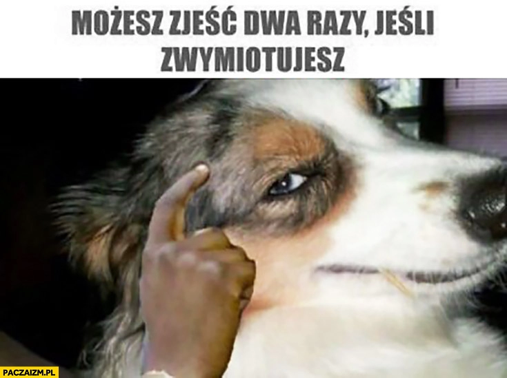 
    Możesz zjeść dwa razy jeśli zwymiotujesz pies protip lifehack