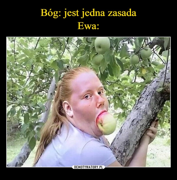 
    
Bóg: jest jedna zasada
Ewa: 