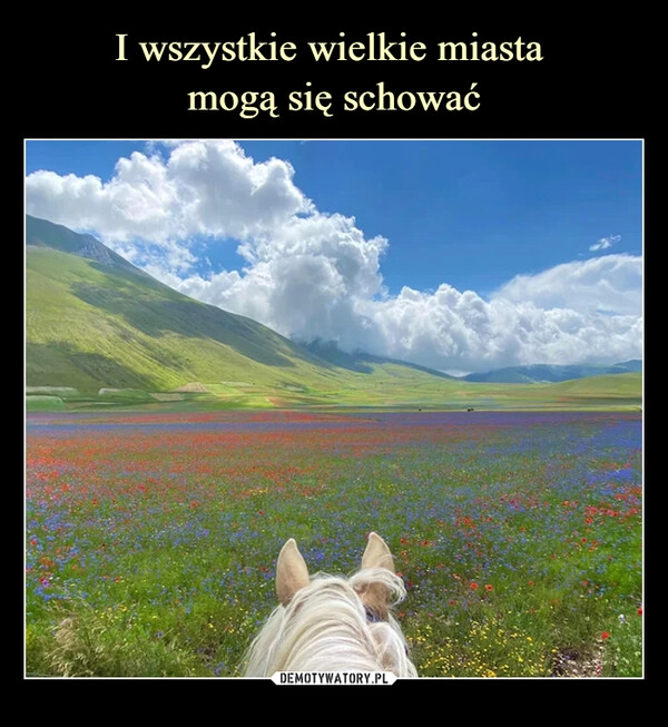 
    I wszystkie wielkie miasta 
mogą się schować