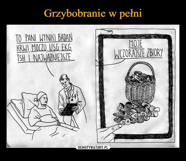 
    Grzybobranie w pełni