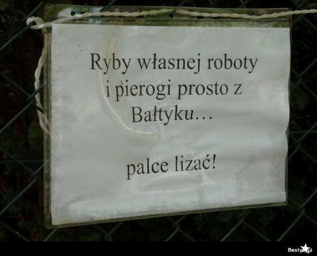 
    Pierogi prosto z Bałtyku 