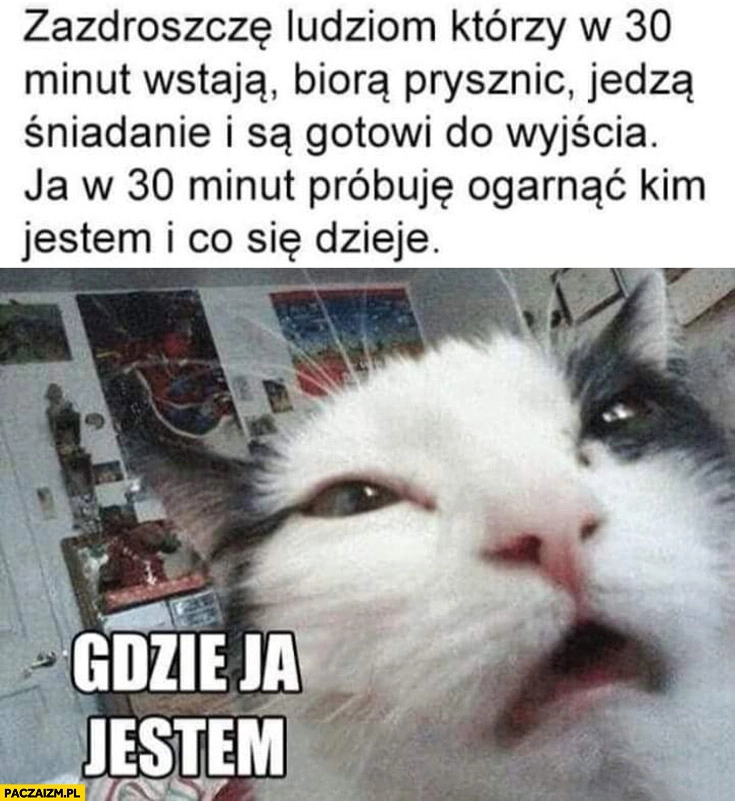 
    Kot zazdroszczę ludziom którzy ogarniają się w 30 minut do wyjścia, ja próbuję ogarnąć kim jestem i co się dzieje