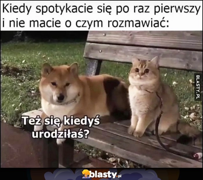 
    Kiedy spotykacie się po raz pierwszy i nie macie o czym rozmawiać pies i kot: też się kiedyś urodziłaś?