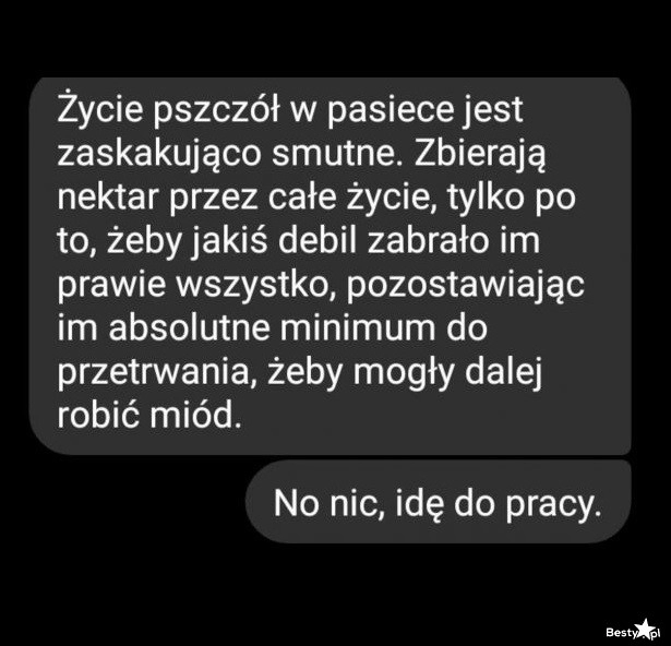 
    Życie pszczół w pasiece 