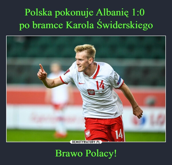 
    Polska pokonuje Albanię 1:0 
po bramce Karola Świderskiego Brawo Polacy!