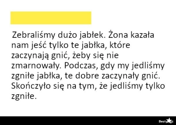 
    Zgnite jabłka 