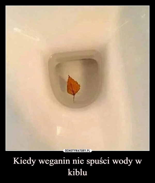 
    Kiedy weganin nie spuści wody w kiblu