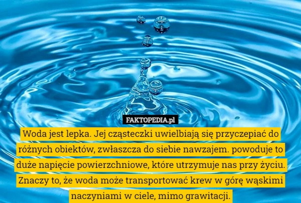 
    Woda jest lepka. Jej cząsteczki uwielbiają się przyczepiać do różnych obiektów,