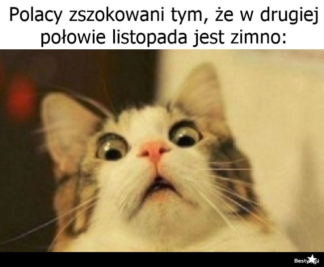 
    Szok i niedowierzanie 