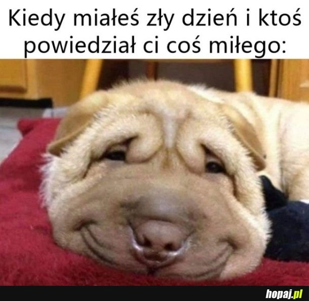 
    Zły dzień