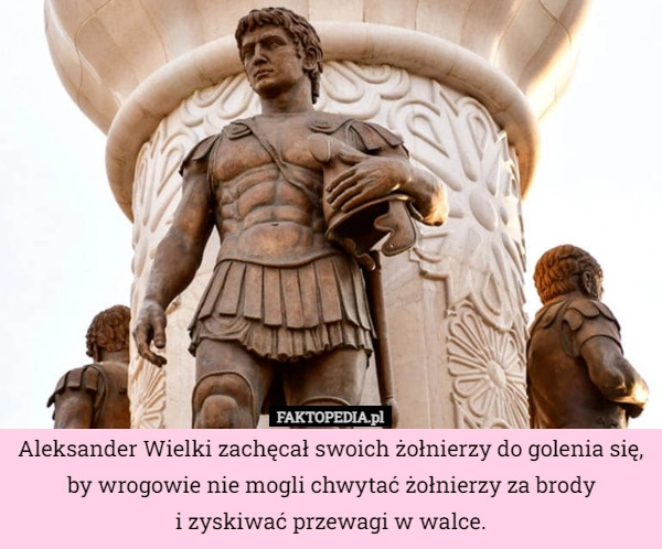 
    Aleksander Wielki zachęcał swoich żołnierzy do golenia się, by wrogowie