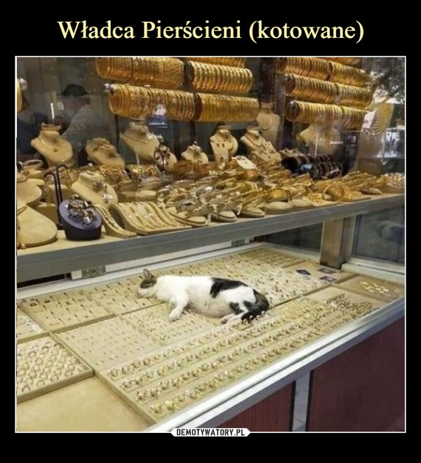 
    Władca Pierścieni (kotowane)