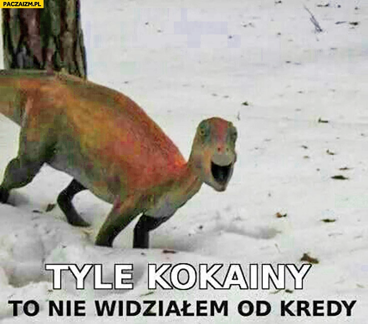 
    Tyle kokainy to nie widziałem od kredy