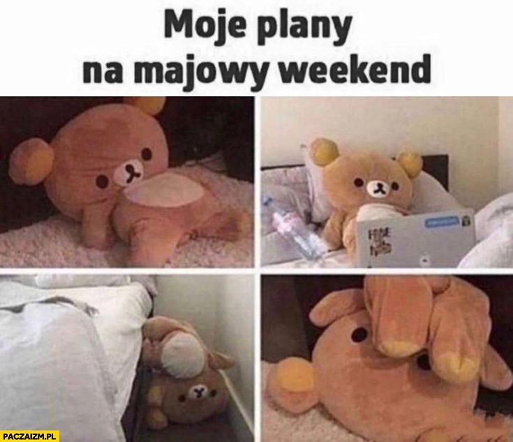 
    Moje plany na weekend majowy miś pluszak obija się