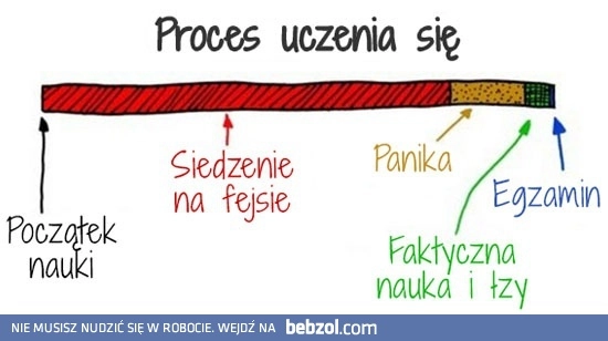 
    Proces uczenia sie