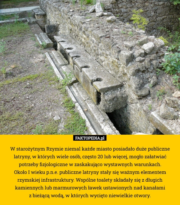 
    W starożytnym Rzymie niemal każde miasto posiadało duże publiczne latryny,