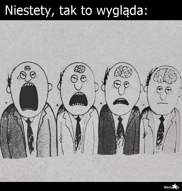 
    Niestety