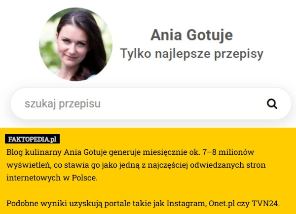 
    Blog kulinarny Ania Gotuje generuje miesięcznie ok. 7–8 milionów wyświetleń,