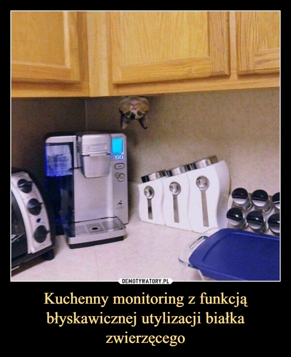 
    Kuchenny monitoring z funkcją błyskawicznej utylizacji białka zwierzęcego