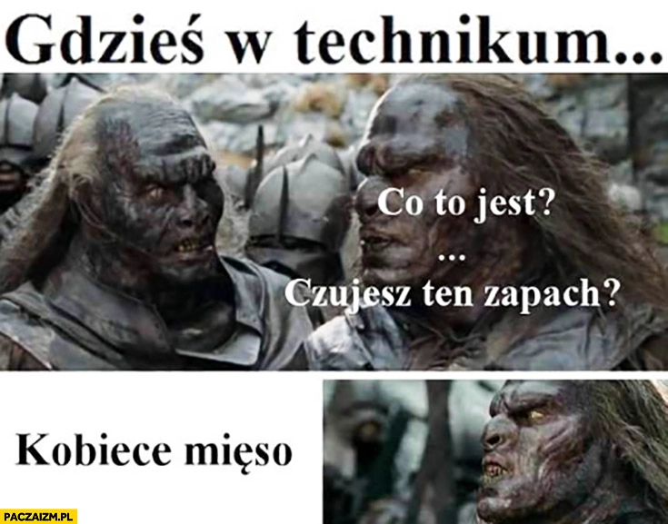 
    Gdzieś w technikum: co to jest? Czujesz ten zapach? Kobiece mięso orki