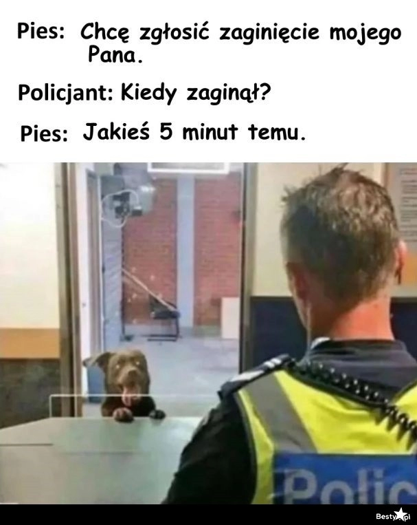 
    Zaginięcie 