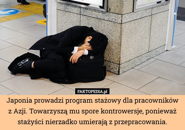 
    Japonia prowadzi program stażowy dla pracowników z Azji. Towarzyszą mu spore