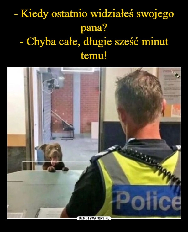 
    
- Kiedy ostatnio widziałeś swojego pana?
- Chyba całe, długie sześć minut temu! 