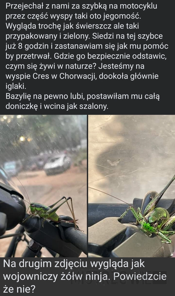 
    Przyjechał z nami