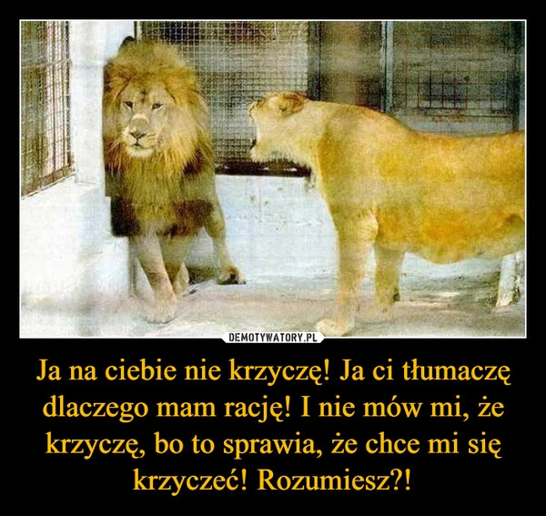 
    Ja na ciebie nie krzyczę! Ja ci tłumaczę dlaczego mam rację! I nie mów mi, że krzyczę, bo to sprawia, że chce mi się krzyczeć! Rozumiesz?!