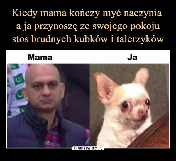 
    Kiedy mama kończy myć naczynia 
a ja przynoszę ze swojego pokoju stos brudnych kubków i talerzyków