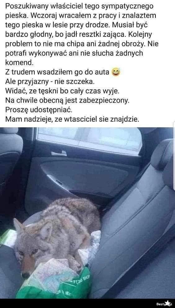 
    Właściciel poszukiwany 