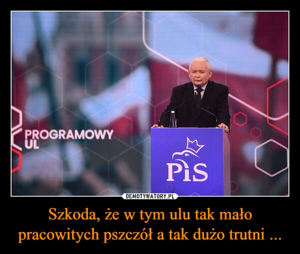 
    Szkoda, że w tym ulu tak mało pracowitych pszczół a tak dużo trutni ...