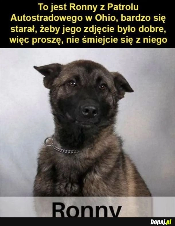 
    Przystojny kawaler