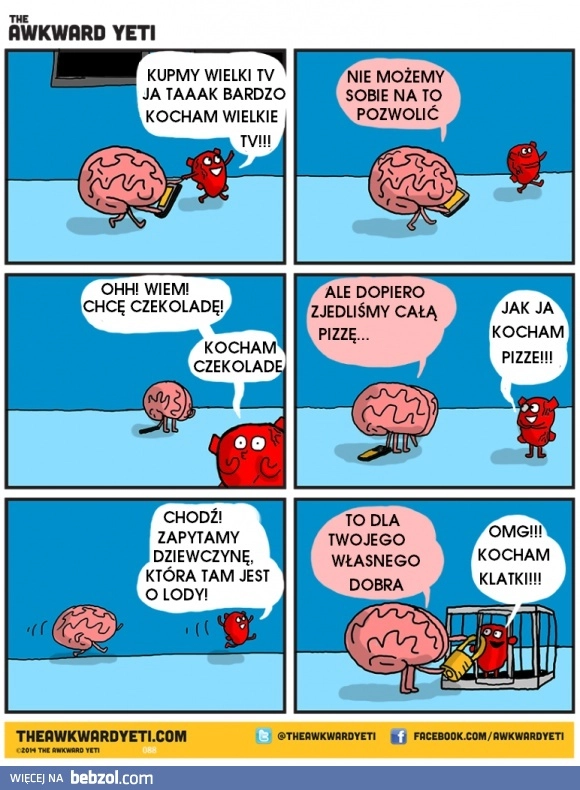 
    Kocham wszystko