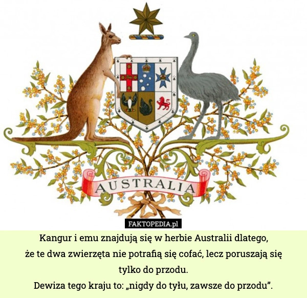 
    Kangur i emu znajdują się w herbie Australii dlatego,
że te dwa zwierzęta