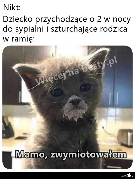 
    Nocne przeboje 