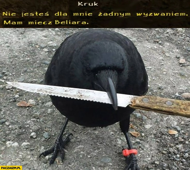 
    Kruk z nożem nie jesteś dla mnie żadnym wyzwaniem mam mecz Beliara