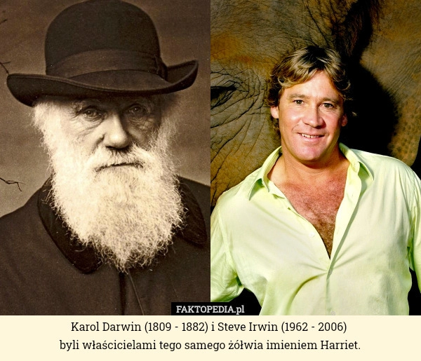 
    Karol Darwin (1809 - 1882) i Steve Irwin (1962 - 2006) byli właścicielami