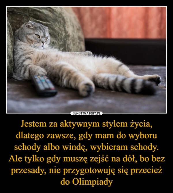 
    Jestem za aktywnym stylem życia, dlatego zawsze, gdy mam do wyboru schody albo windę, wybieram schody. Ale tylko gdy muszę zejść na dół, bo bez przesady, nie przygotowuję się przecież do Olimpiady