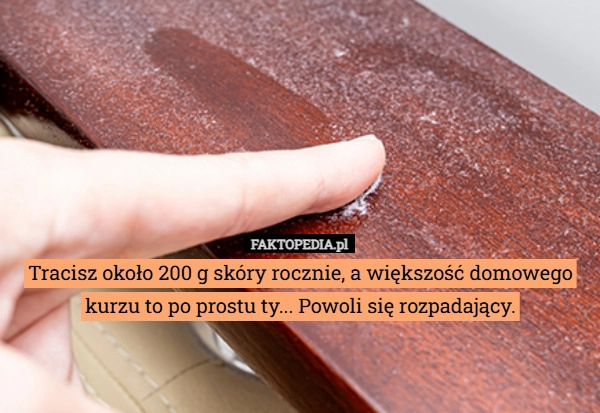 
    Tracisz około 200 g skóry rocznie, a większość domowego kurzu to po prostu
