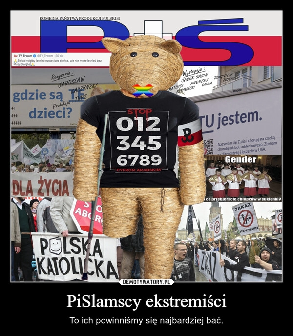 
    PiSlamscy ekstremiści