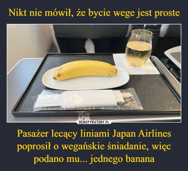 
    Nikt nie mówił, że bycie wege jest proste Pasażer lecący liniami Japan Airlines poprosił o wegańskie śniadanie, więc podano mu... jednego banana