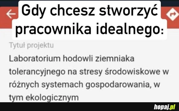 
    Korpoziemniak