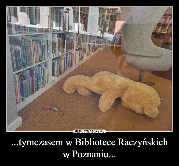 
    ...tymczasem w Bibliotece Raczyńskich w Poznaniu...