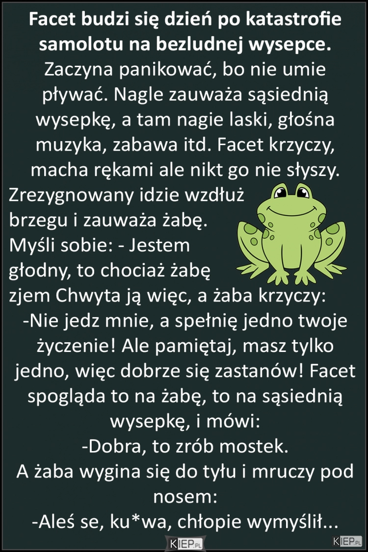 
    Facet budzi się dzień po katastrofie samolotu na bezludnej wysepce...