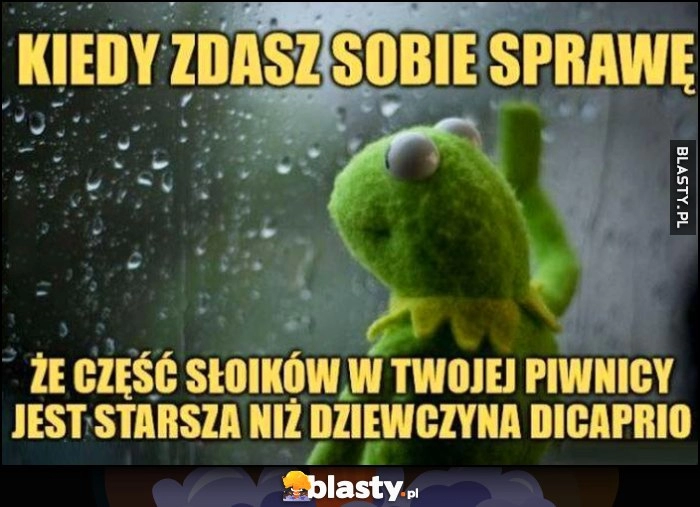 
    Kermit kiedy zdasz sobie sprawę, że część słoików w Twojej piwnicy jest starsza niż dziewczyna Leonardo Dicaprio