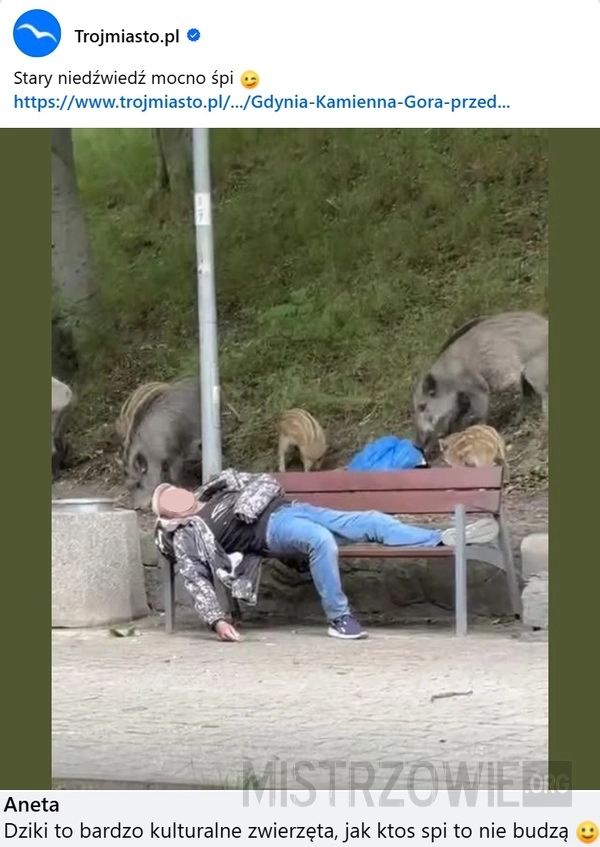 
    Na ławce:
